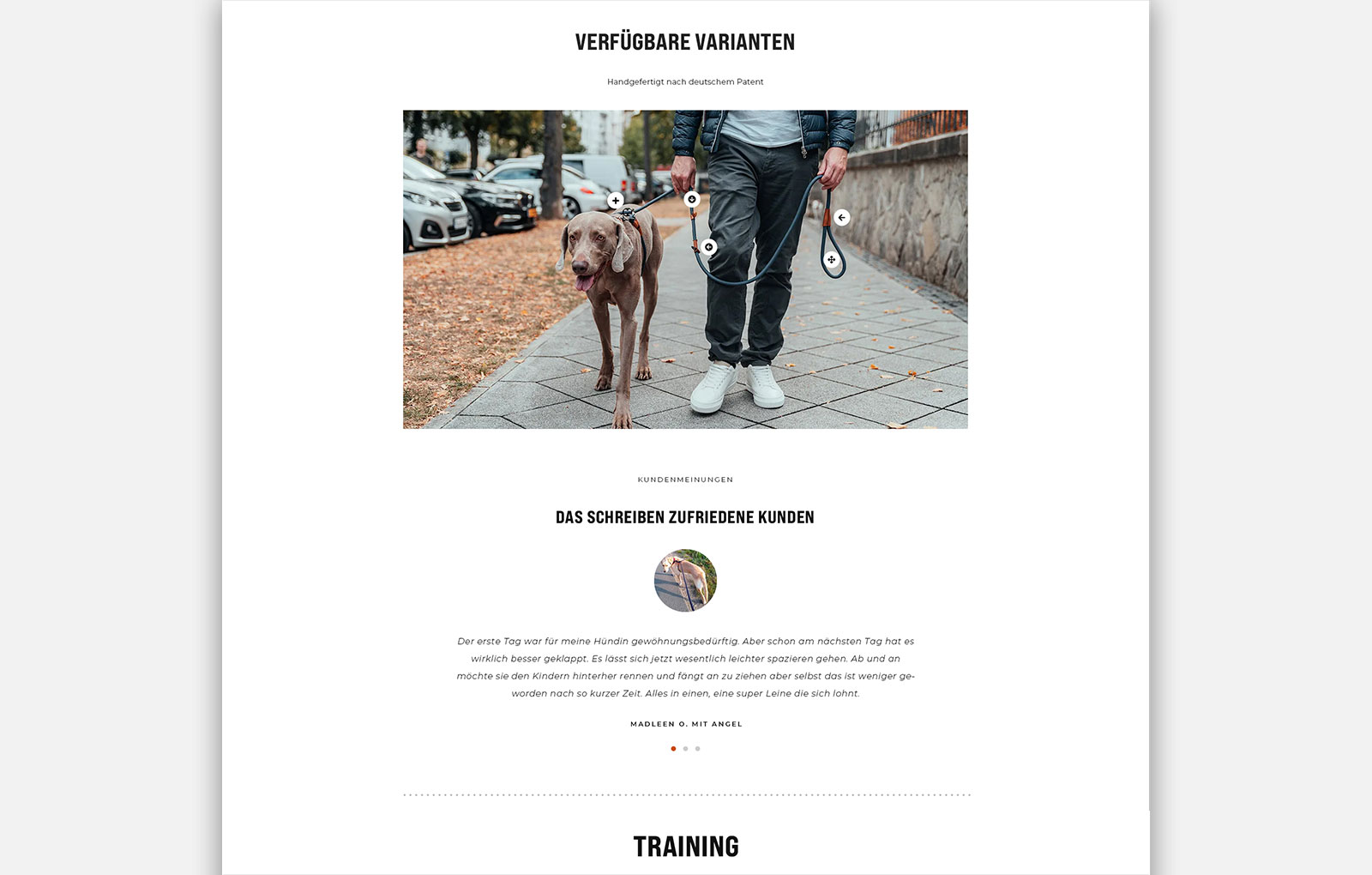 walkbuddy06