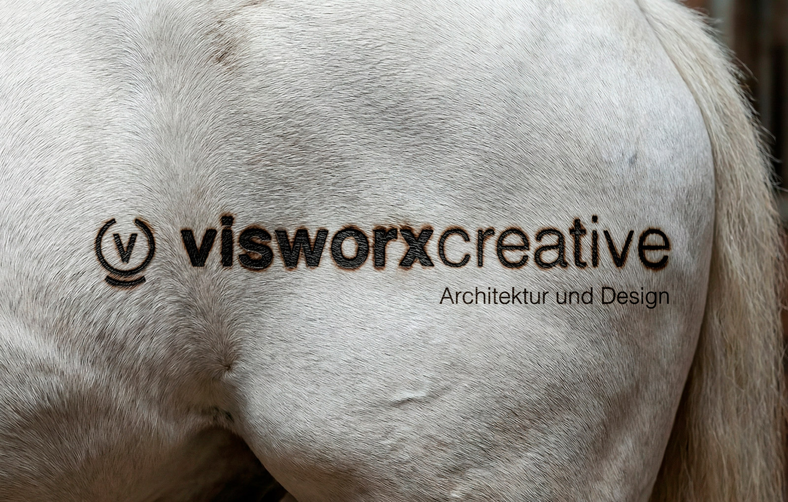 Visworx Creative Branding